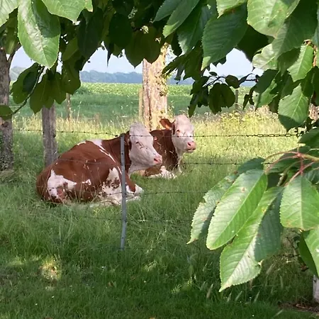 La Maison D'henri Sailly-Flibeaucourt