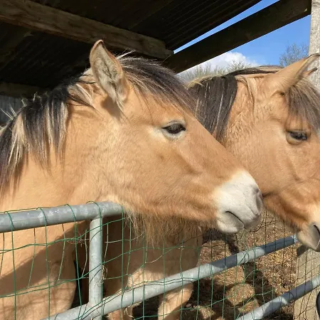 La Maison D'henri بيت للعطل *